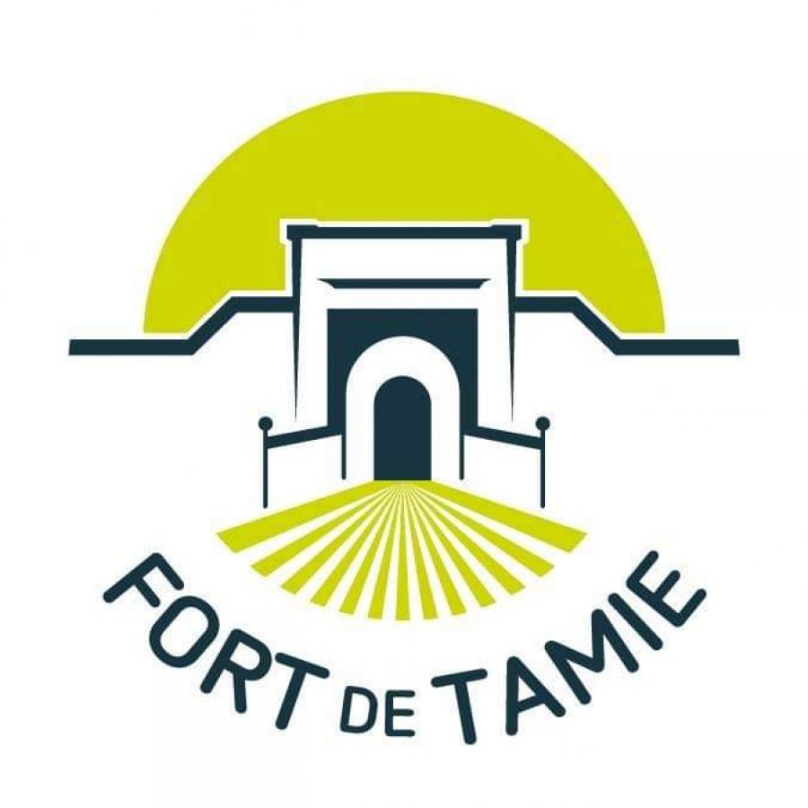 Fort de Tamie